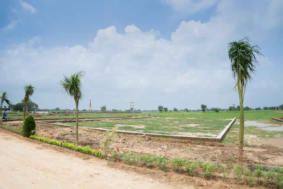Marked plots edged with kerbs and young palm trees under a cloudy sky