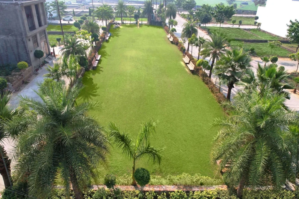 A long lawn lined with palm trees at Krishna Vihar