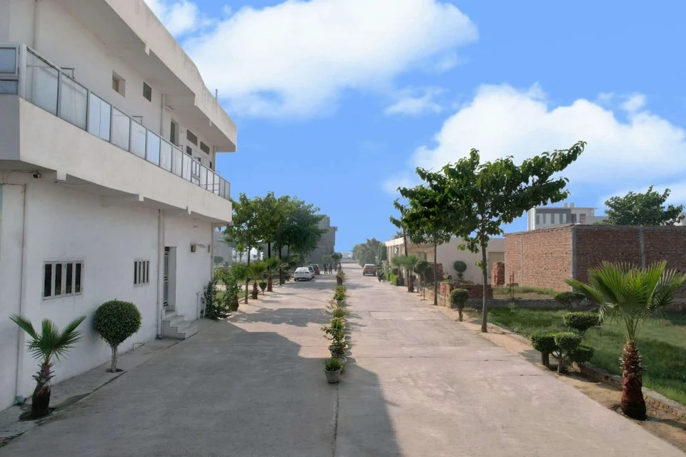 A paved internal road with young trees beside homes at Krishna Vihar