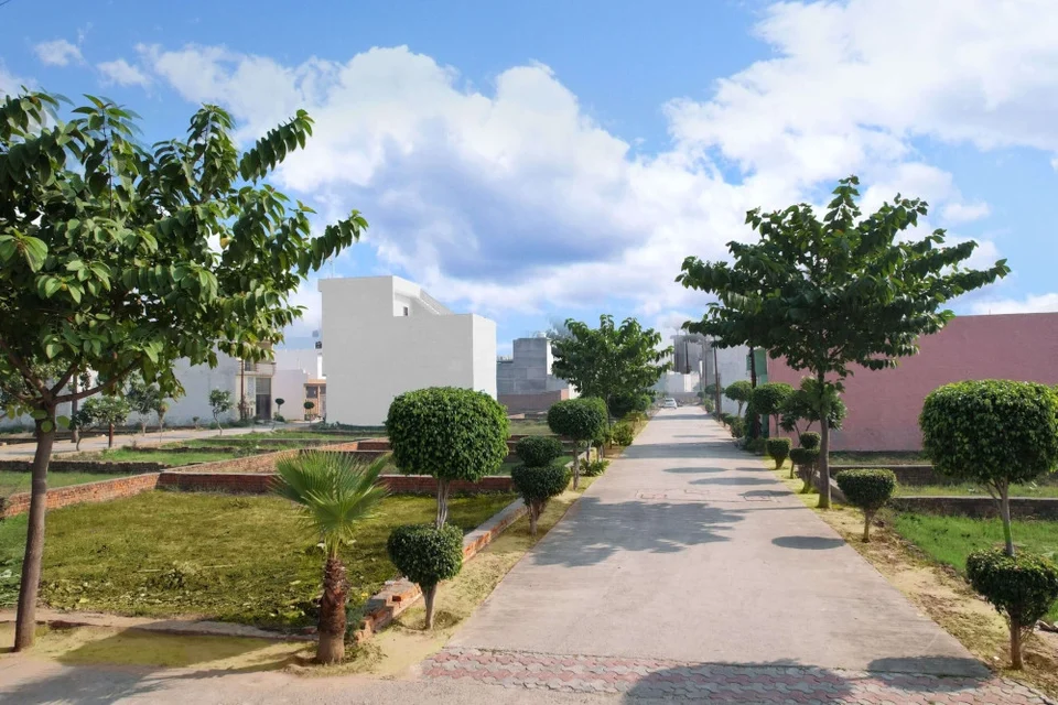 A paved internal road lined with trees at Shiv Shakti Vihar