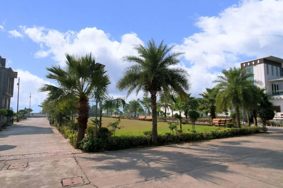 A park with palm trees beside a paved road at Shiv Shakti Vihar