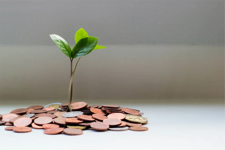 Green seedling growing out of a small pile of copper and silver coins on a white surface against a grey background.