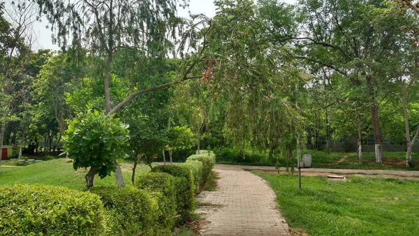 A brick-paved footpath curving through a leafy park, lined with trimmed hedges, lawns and tall trees.
