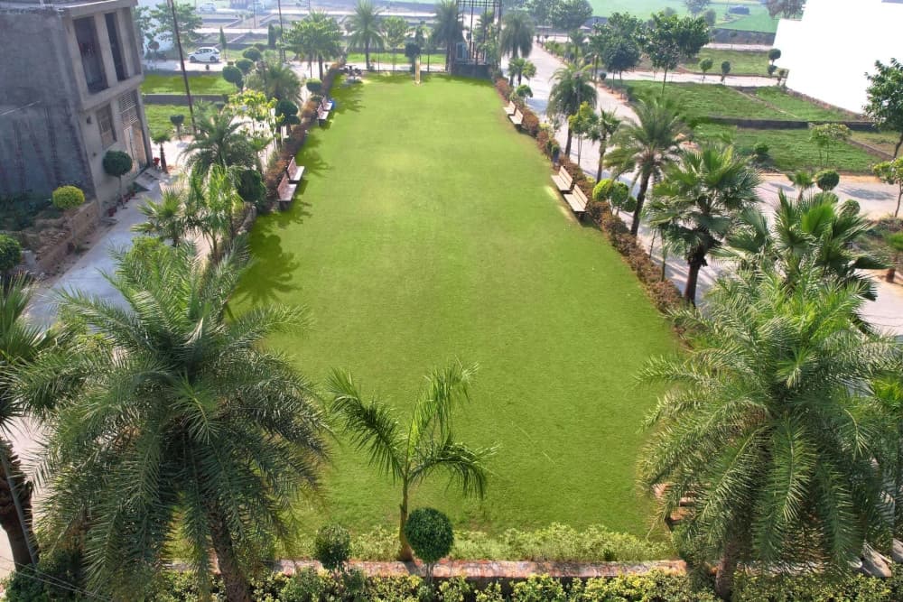 Project Gallery Image 2