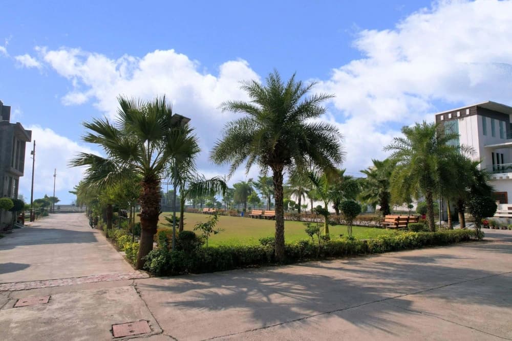 Project Gallery Image 4